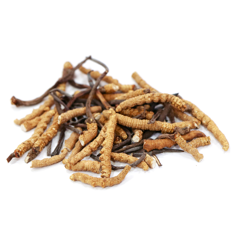 Hong Kong Kai Tai Cordyceps King Cordyceps Sinensis (Grade 2) (20g)