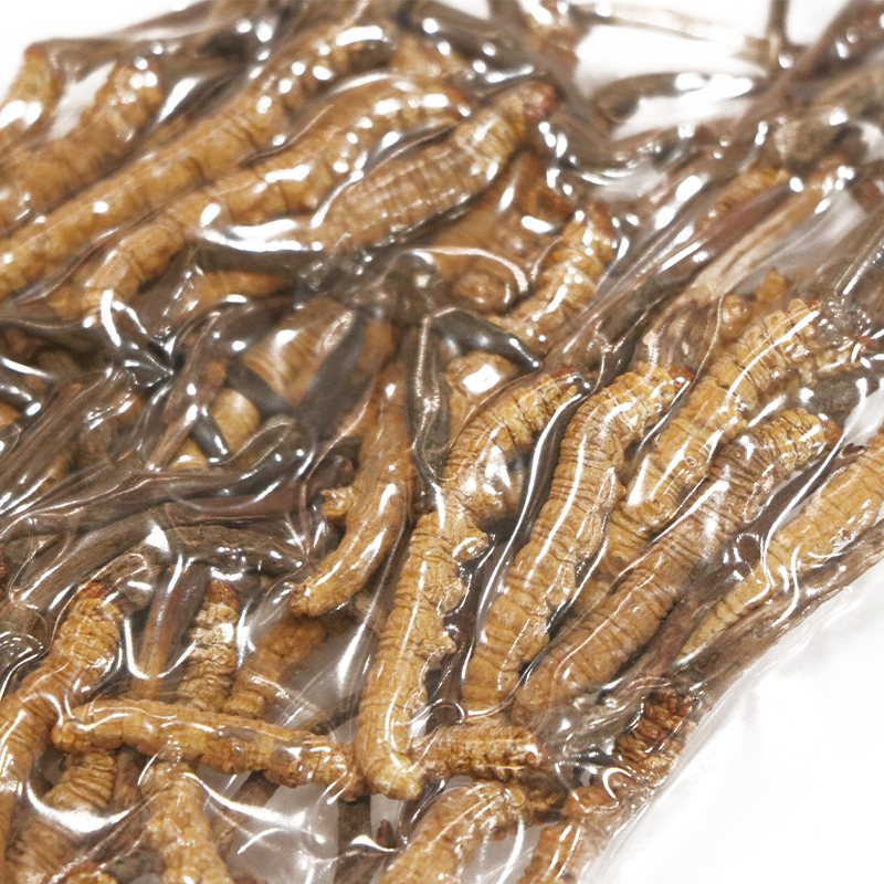 Hong Kong Kai Tai Cordyceps King Cordyceps Sinensis (Grade 3) (10g)