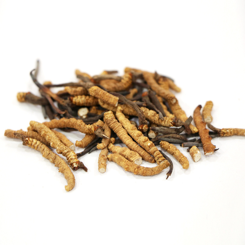 Hong Kong Kai Tai Cordyceps King Cordyceps Sinensis (Grade 2) (20g)