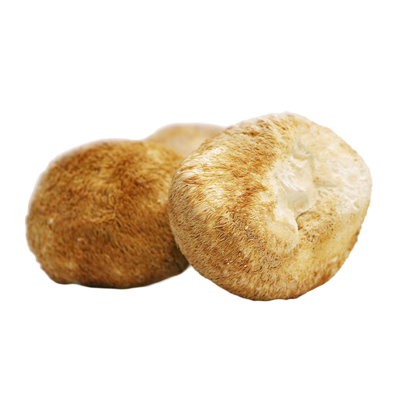 Hong Kong Kai Tai Edible Fungi Hericium Erinaceus(80g)