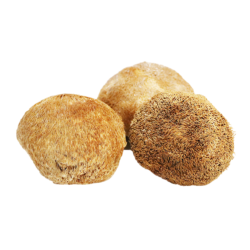 Hong Kong Kai Tai Edible Fungi Hericium Erinaceus(80g)